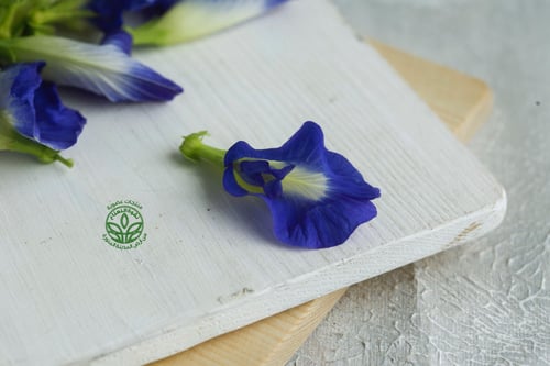 شاي ازرق عضوي - Organic Blue Tea