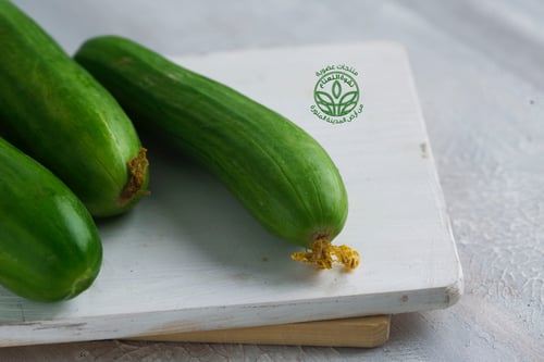 Organic Cucumber - خيار عضوي