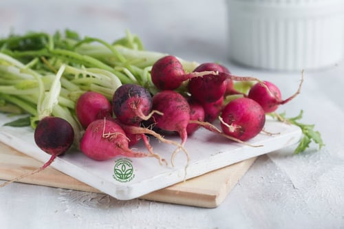 Organic Red Radish - فجل أحمر عضوي