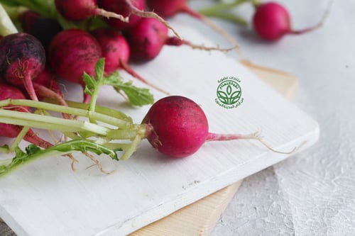 Organic Red Radish - فجل أحمر عضوي