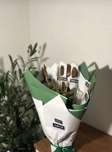 توزيعات اليوم الوطني