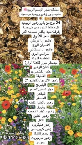 تشكيلة بذور زهور ربيعيه موسميه
