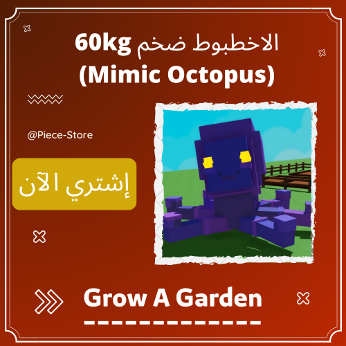 الاخطبوط ضخم 60+ كيلو | Mimic Octopus