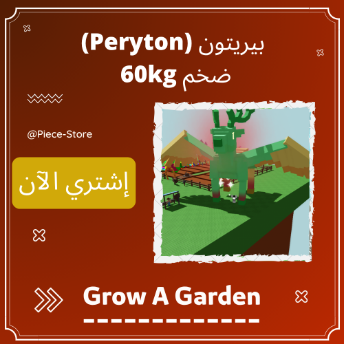 بيريتون ضخم 60+ كيلو | Peryton