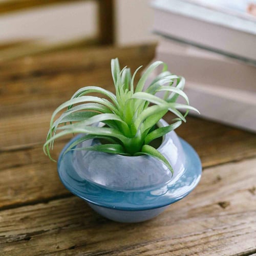 إناء نبتة كوكب سماوي