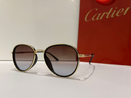 نظارة كارتير (10919)