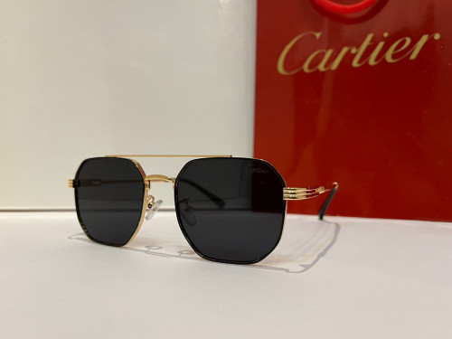 نظارة كارتير (10911)