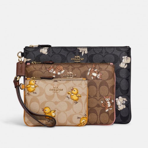 كوتش مجموعة محافظ ريستلت