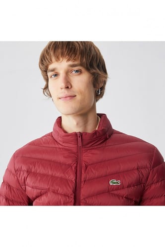 معطف رجالي أحمر مبطن ذو ياقة واقفة من Lacoste - أص...