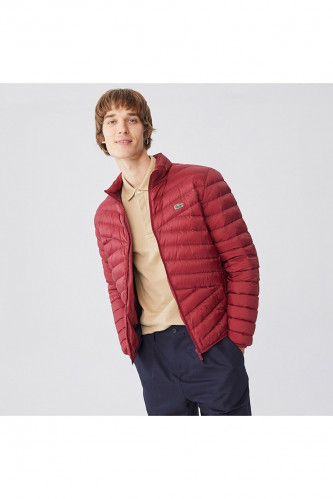 معطف رجالي أحمر مبطن ذو ياقة واقفة من Lacoste - أص...