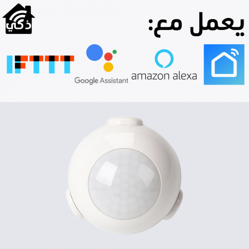 حساس حركة ذكي