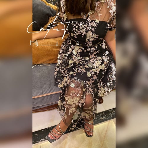 Sequenced Sheer Layered Dress