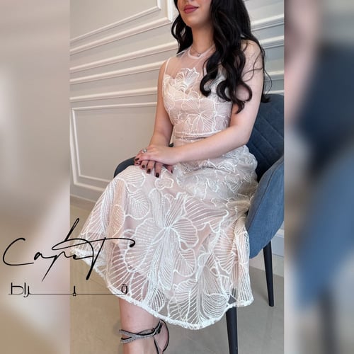 Lace Dress with Mesh