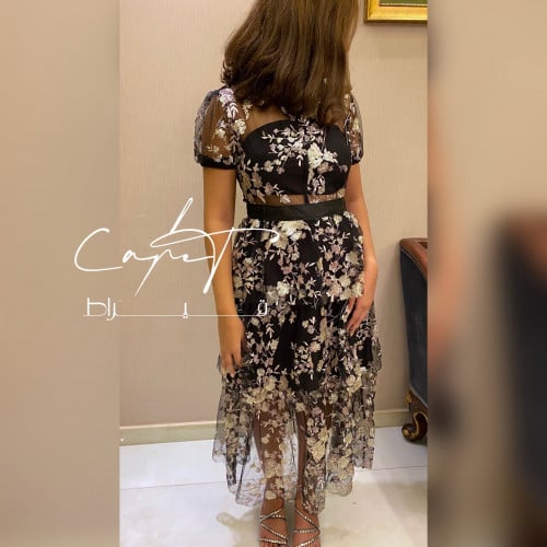 Sequenced Sheer Layered Dress