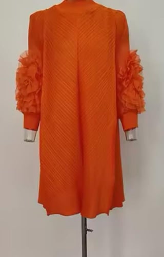 Ruffled Sleeved Dress