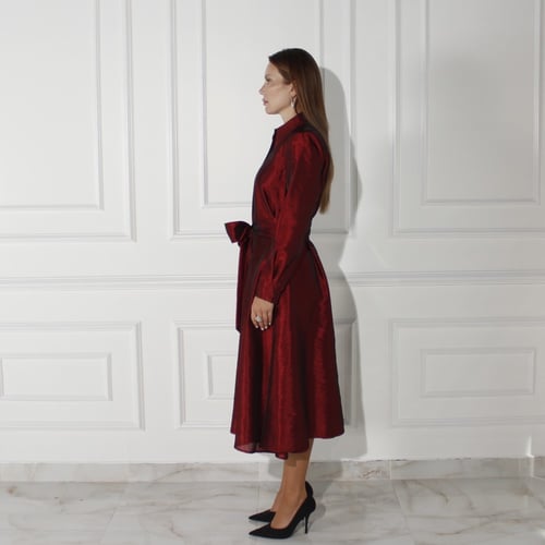 Taffet Luxurious Dress