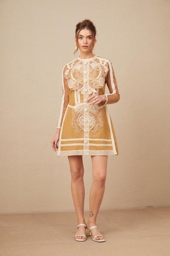 Chic Structured Dress