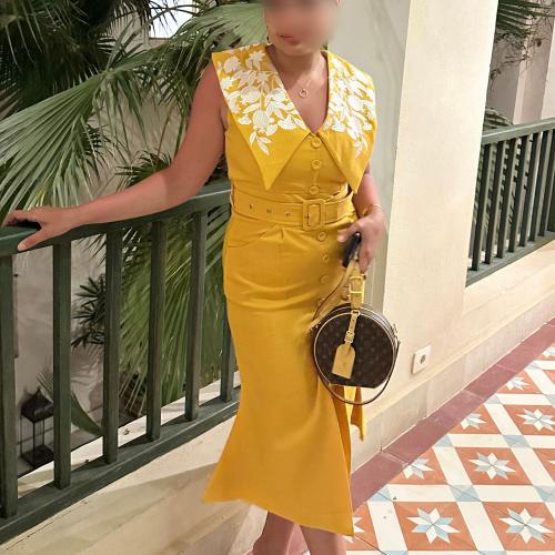 Embroidered Collar Dress