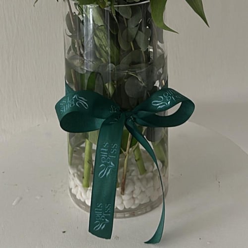 فازة الكازابلنكا