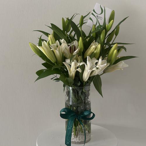 فازة الكازابلنكا