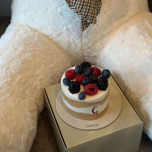 دب أبيض كبير || مع كيكة جاناش توت