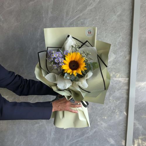 اناقة || دوار الشمس