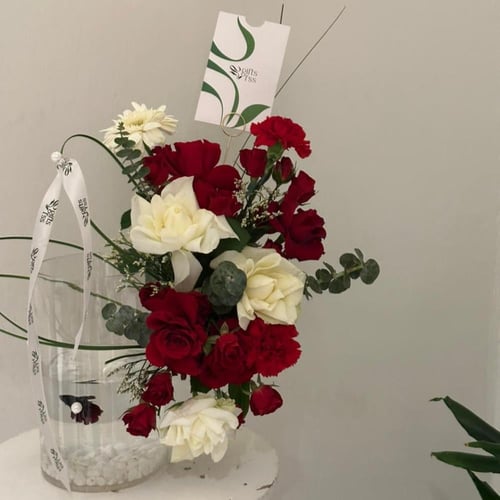 نبض الحياة || سمكة الفايتر