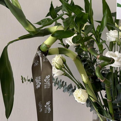 فازة البامبو (الخيزران) || جلد علية اسم