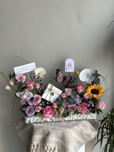 شوكلت باتشي || استند الفخامة