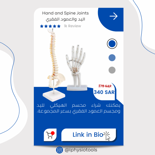 مجموعة المجسمات