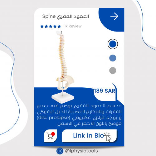 مجسّم عمود فقري