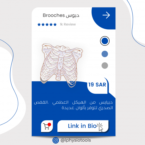 بروش القفص الصدري