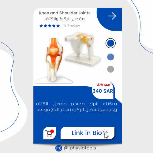 مجموعة المجسمات