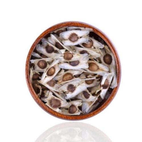 بذور المورينجا 120 بذره