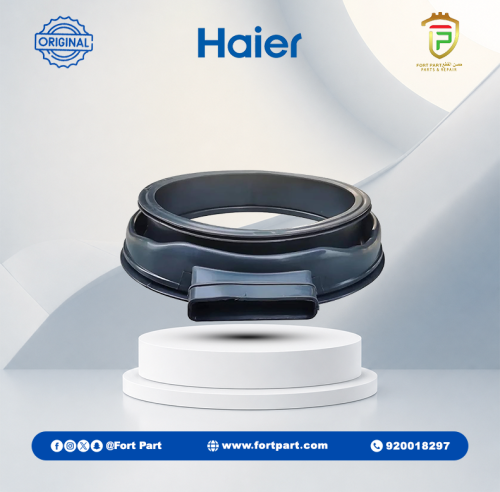 0020300601R - DOOR GASKET HAIER