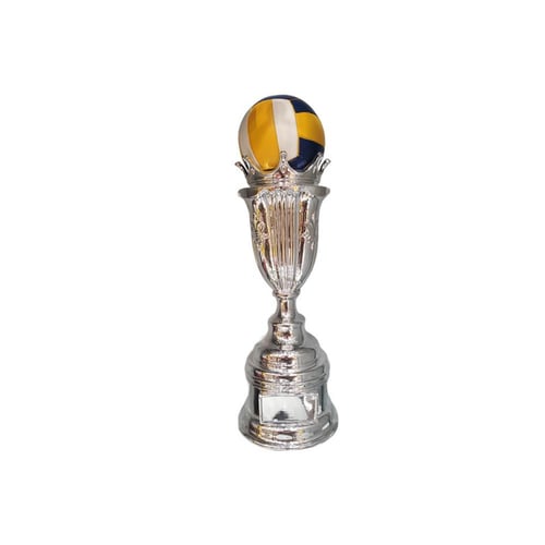 كاس كرة الطائرة