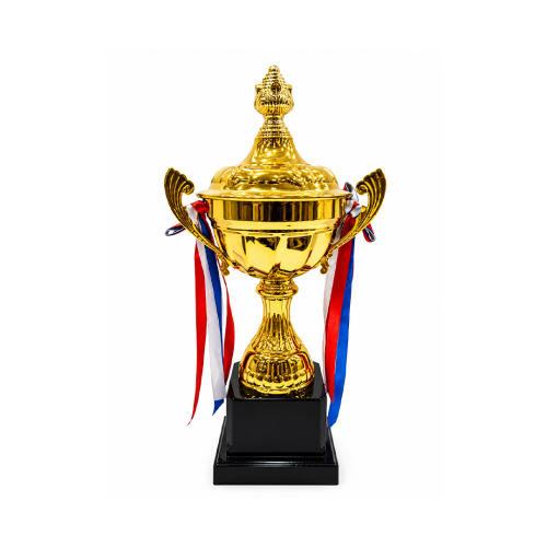 كأس بطولة ذهبي فاخر