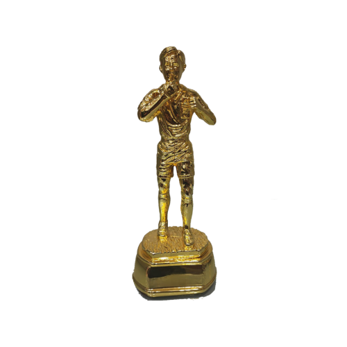 مجسم حكم كرة قدم