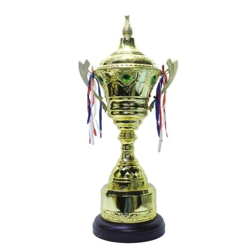 كاس تكريم حديد