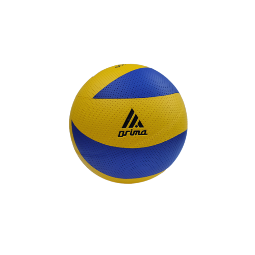 كرة الطائرة