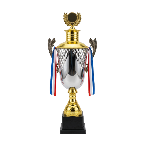 كاس تكريم فضي