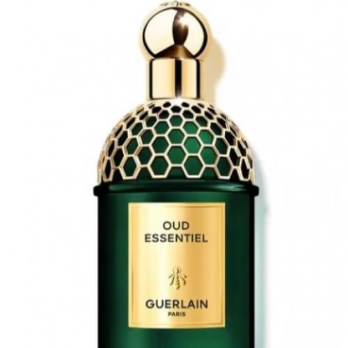 جيرلان ابسولو اليغوريا عود ايسينشيال او دو برفيوم...