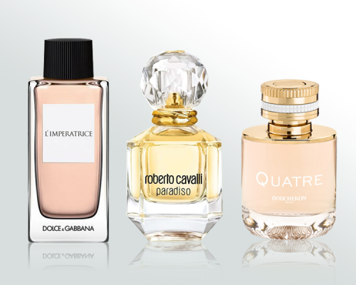 مجموعة السيدة الانيقة