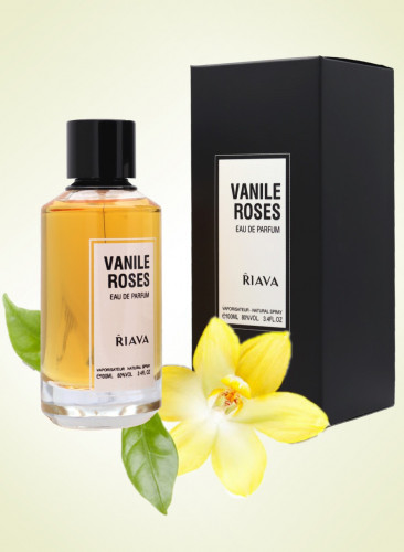 فانيلا روزس رايفا