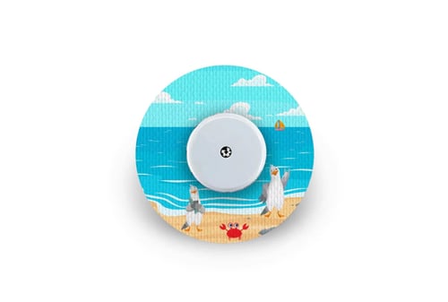 لاصق حماية + زينة