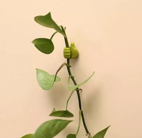 منظم متعدد الاستخدامات