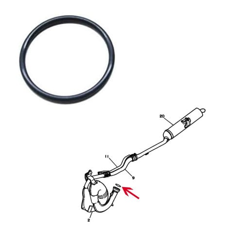 ربل وجه هدرز بانشي وكالة