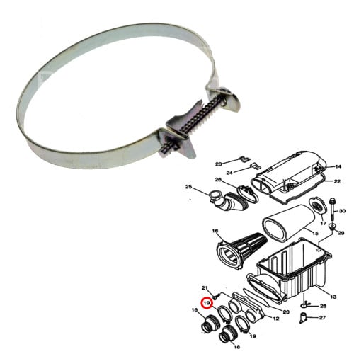 قفيص ربلة قسام قربة كبير بانشي وكالة