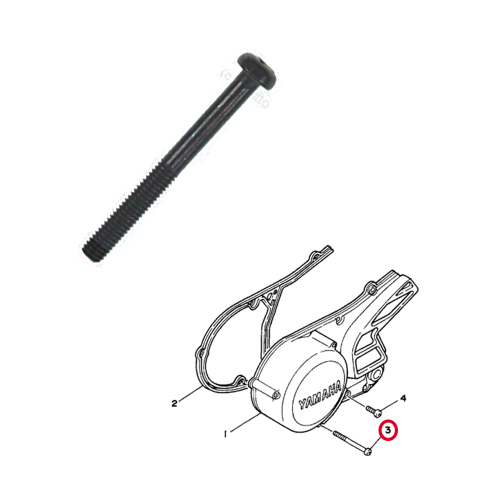 مسمار غطا مقنيت طويل