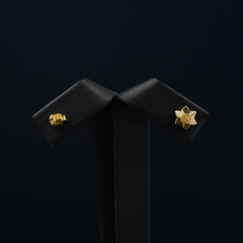 حلق Earrnig ( 21K ) 06